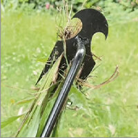 Array image